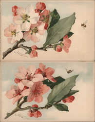 Set of 2: Klein Flowers with Bee Postcard