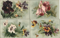 Set of 4: Klein Flowers Postcard