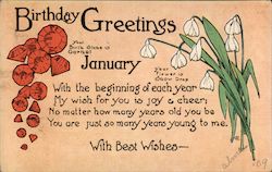 Birthday Greetings - Garnets and snow drop flowers Postcard Postcard Postcard