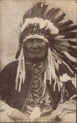 Mountain Chief, Blackfoot Tribe, Montana Postcard
