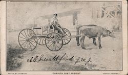 A Man Sitting in a Carriage Being Pulled by Oxen Postcard