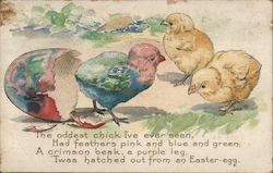Two yellow chicks and a rainbow colored chick breaking out of a rainbow colored shell Postcard