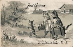 Just arrived in Atlantic City, N.J. Postcard