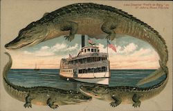 Alligator Border S543 Steamer "Fred'k de Barg" on St. John's River Postcard