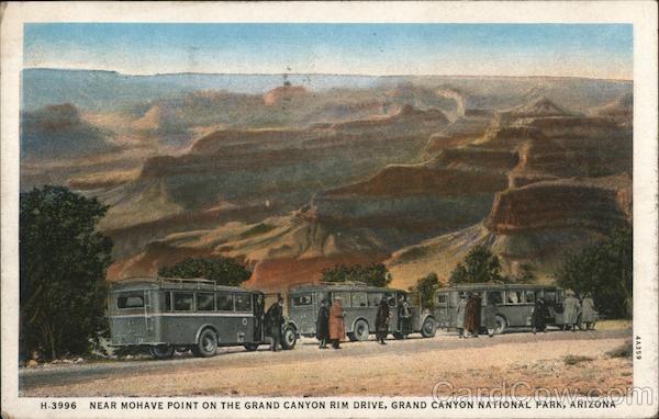 Near Mohave Point on the Grand Canyon Rim Drive Grand Canyon National Park Arizona