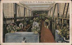 Rosenthal's Inc. 737 So. Broadway Postcard