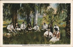 Midwinter Picnicing at Oldsmar, Florida Postcard Postcard Postcard