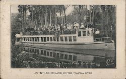 An "N" Line Steamer on the Tomoka River Florida Postcard Postcard Postcard