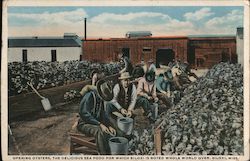 Opening oysters,, the delicious sea food for which Biloxi is noted whole world over Mississippi Postcard Postcard Postcard