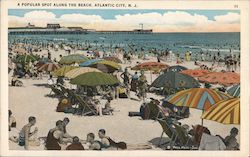 A Popular Spot Along the Beach Postcard