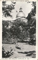 Stock #802373 Thumbnail