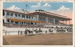 The Parade of the Horses at Grand Stand, Agua Caliente Postcard
