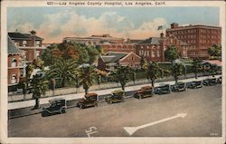 Los Angeles County Hospital Postcard