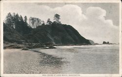 Seal ROcks at Long Beach Postcard