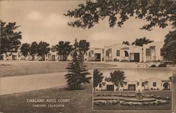 Oakland Auto Court Postcard