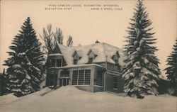 Pine Gables Lodge Postcard