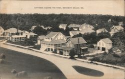 Cottages Among the Pines Postcard