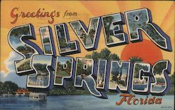 Greetings from Silver Springs Florida Postcard Postcard Postcard