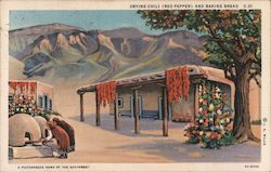 Drying Chili (red Pepper) and baking bread New Mexico Native Americana Postcard Postcard Postcard