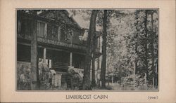 Limberlost Cabin & Wildflower Woods on Sylvan Lake Postcard