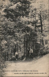 Women's Exercise Path Through the Woods, White Haven Sanatorium Pennsylvania Postcard Postcard Postcard