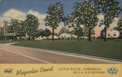 Magnolia Court - On U.S 67-70 Southwest Postcard