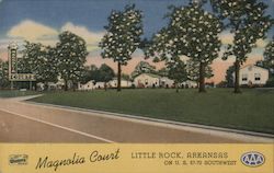 Magnolia Court - On U.S 67-70 Southwest Postcard
