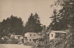 Oceanview Terraces - Modern Motel - Hwy 101-4 Mi. So. Postcard