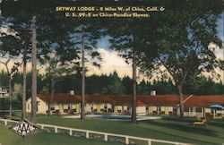 Skyway Lodge Paradise, CA Postcard Postcard Postcard