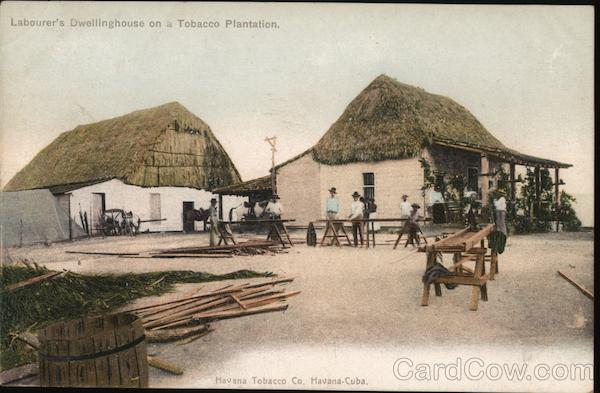 Labourer's Dwellinghouse on a Tobacco Plantation Cuba