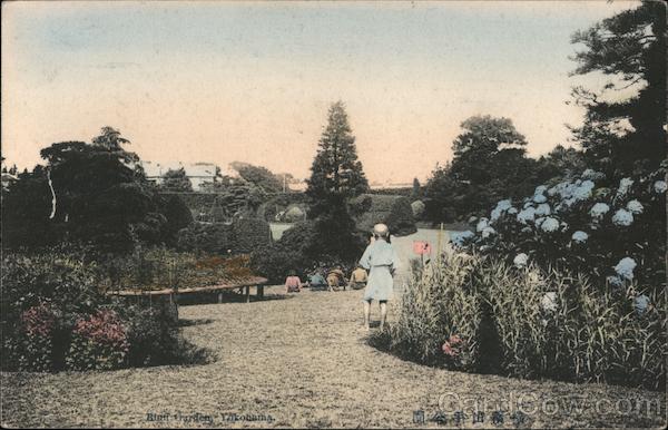 Bluff Garden, Yokohama Japan