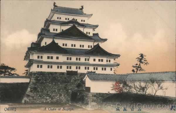Japanese Castle Nagoya