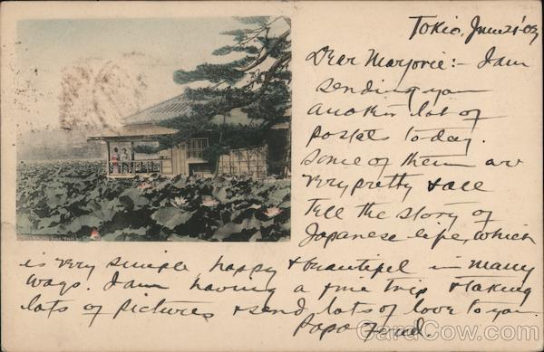 Building set Among Fields of Plants Tokyo Japan