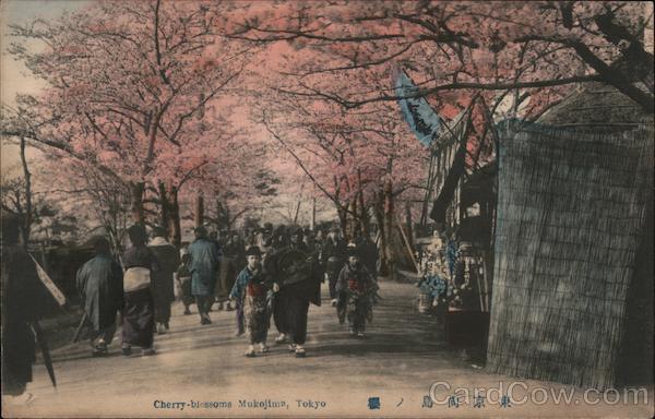 Cherry-blossoms Mukojima, Tokyo Japan