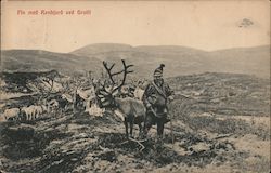 Fin med Rehnjord ved Grotli Geiranger, Norway Postcard