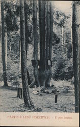 PARTIE Z LESU PISECKYCH - U peti bratru Postcard