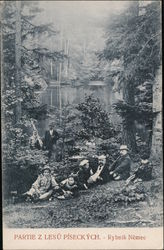 Partie Z Lesu Piseckych - Rybnik Nemec Postcard