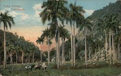 Landscape Postcard