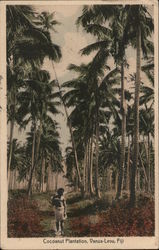 Cocoanut Plantation Vanua Levu, Fiji South Pacific Postcard Postcard Postcard