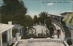 New Windsor Palm Garden Bermuda Postcard Postcard Postcard