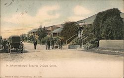 Johannesburg´s Suburbs Orange Grove Postcard