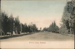 Princess Place, Parktown Postcard
