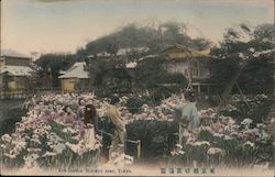 Stock #807727 Thumbnail