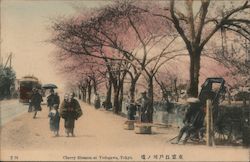 Cherry Blossom at Yedogawa Postcard