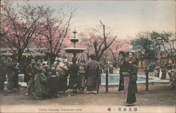 Cherry Blossom, Yokohama Park Postcard