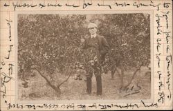 Man in Orchard Postcard