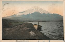 View of Fuji Mountain Postcard