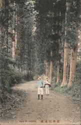 ROAD OF HAKONE Postcard