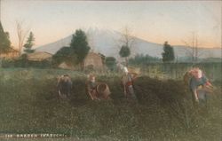 Tee Garden Iwabuchi Postcard