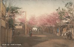 Cherry Blossoms - View of Yokohama Postcard